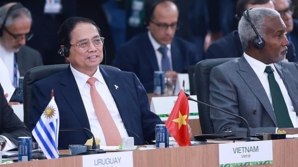 Vietnam Prime Minister outlines five strategic proposals on environment and climate in Brazil